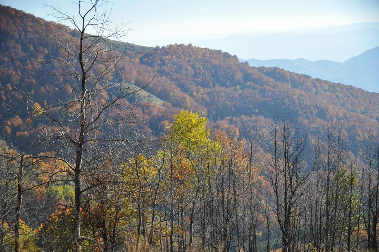 Apartmani Krstojevic Kopaonik Exteriér fotografie