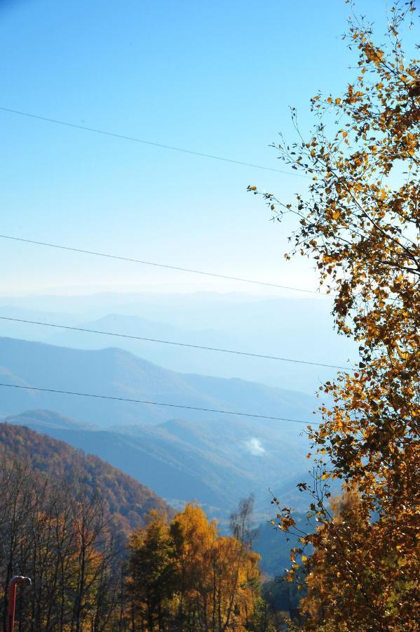 Apartmani Krstojevic Kopaonik Exteriér fotografie